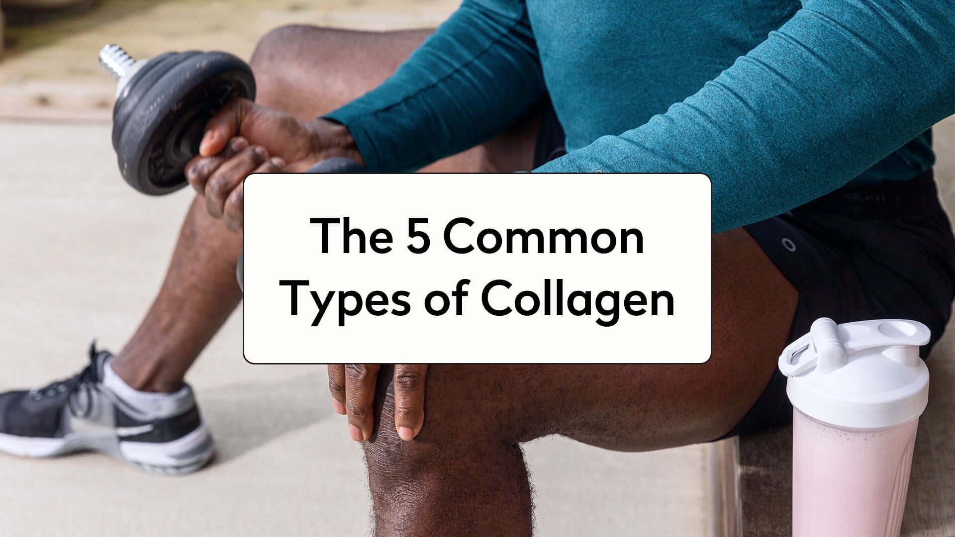 Types of Collagen
