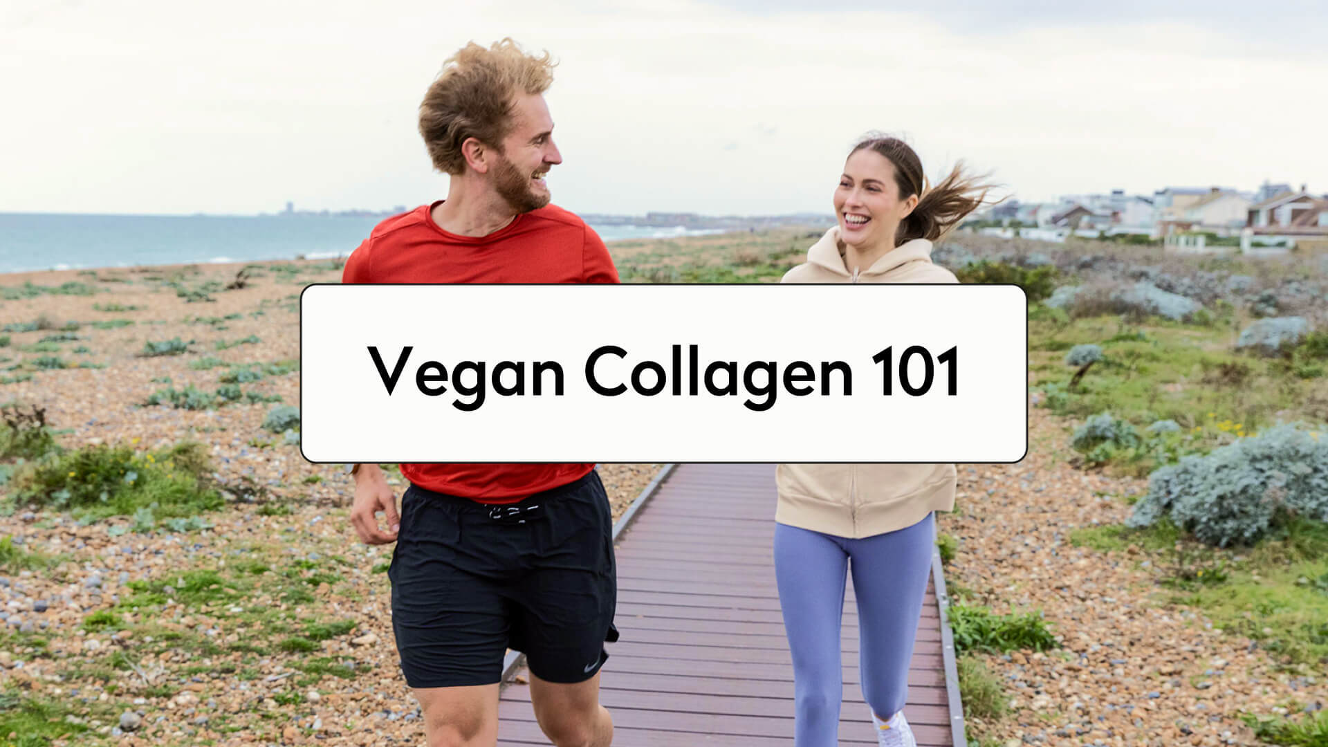 What Is Vegan Collagen?