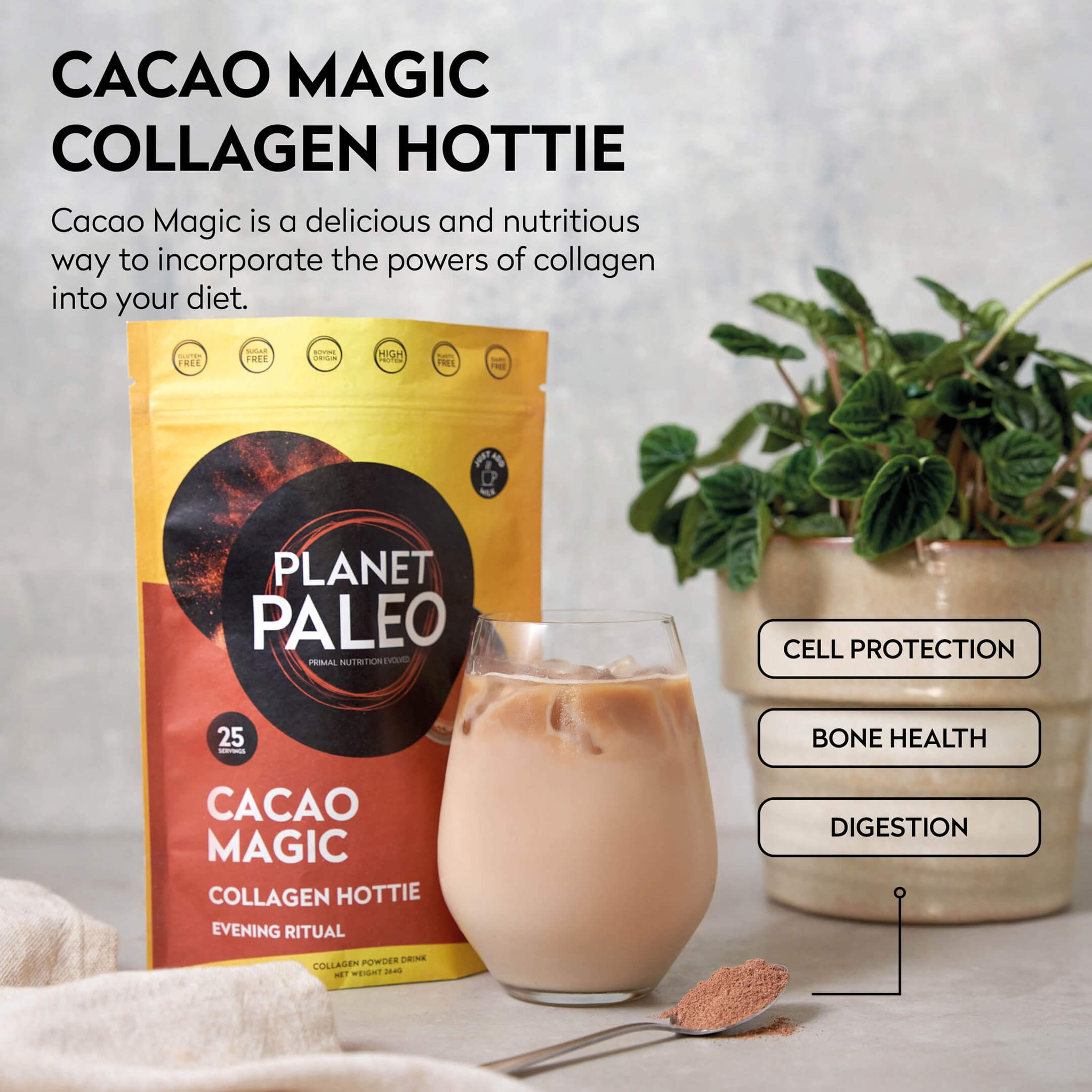 Cacao Magic - Collagen Hottie