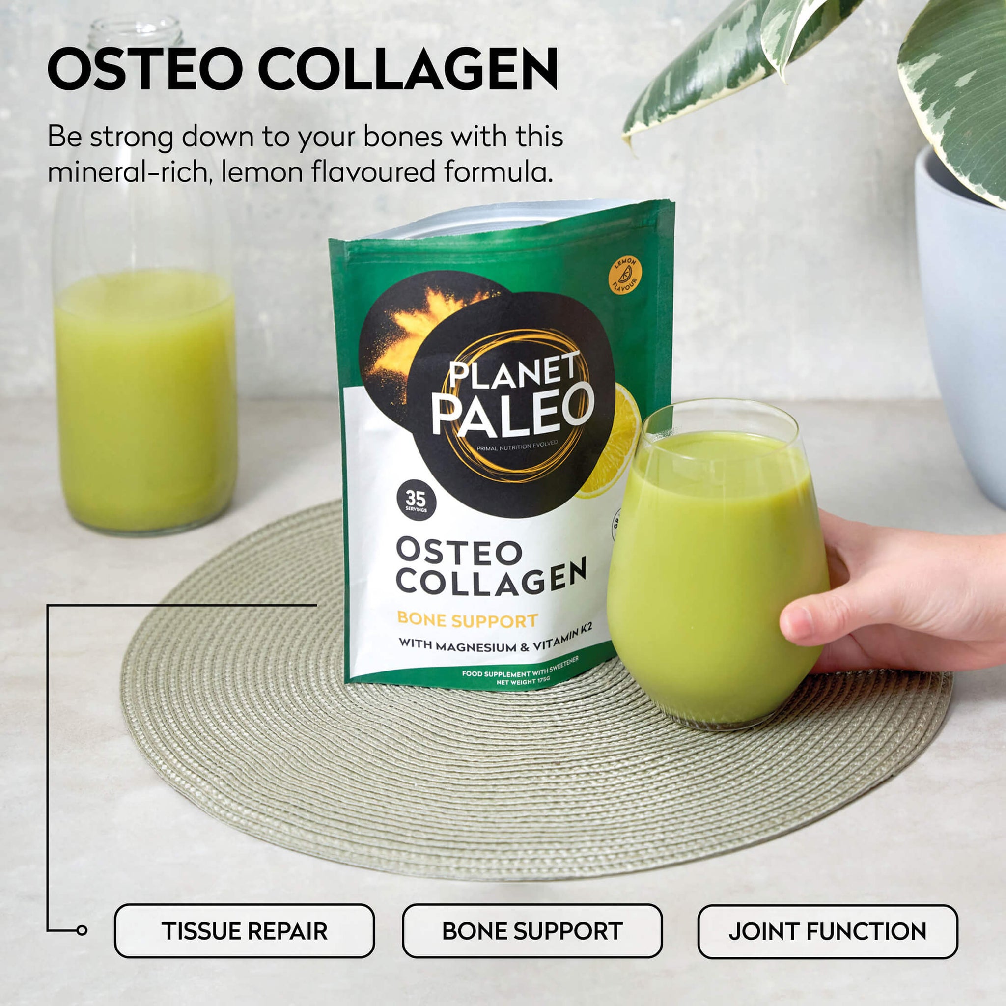 Osteo Collagen Powder